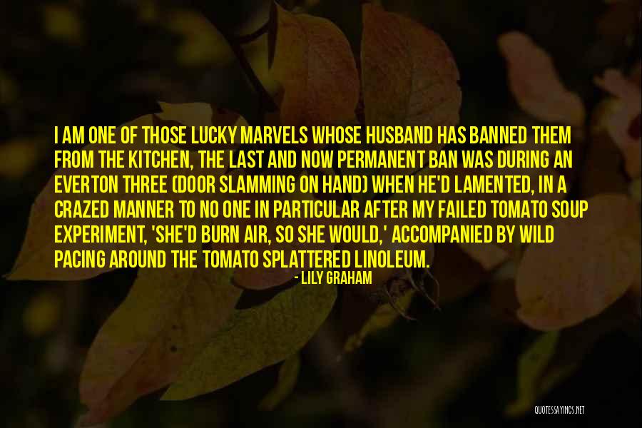 Lucky Husband Quotes By Lily Graham
