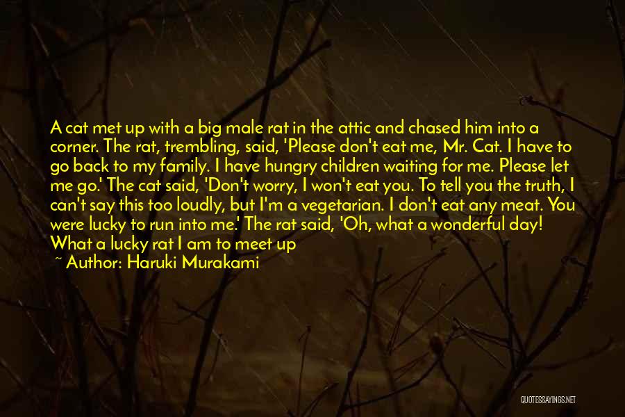 Lucky I Met You Quotes By Haruki Murakami