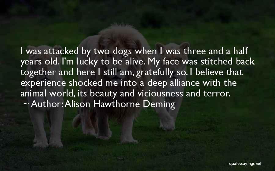 Lucky To Be Alive Quotes By Alison Hawthorne Deming