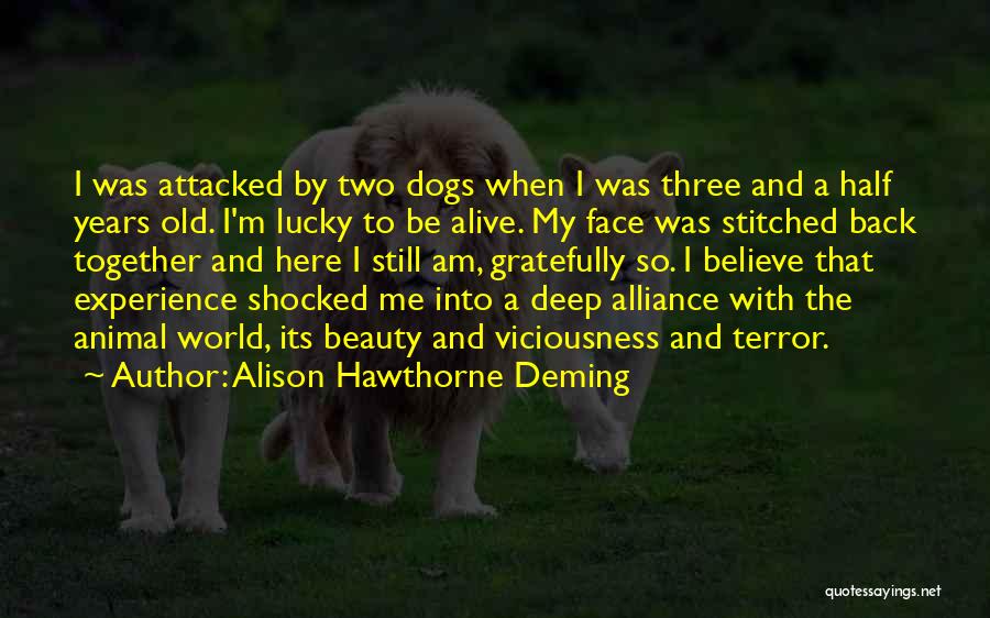 Lucky To Be Here Quotes By Alison Hawthorne Deming