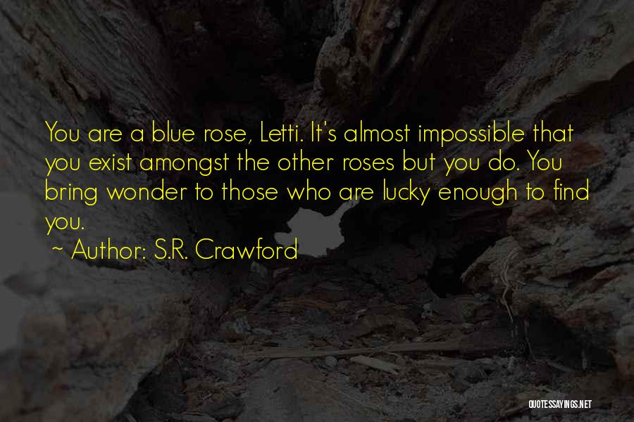 Lucky To Find Love Quotes By S.R. Crawford