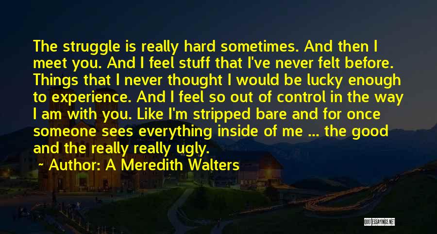 Lucky To Meet You Quotes By A Meredith Walters