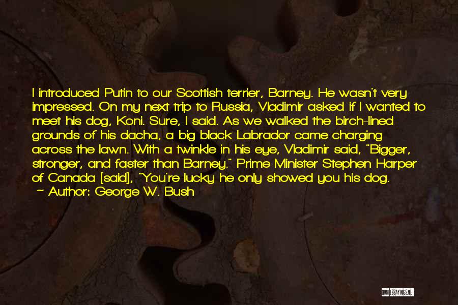 Lucky To Meet You Quotes By George W. Bush