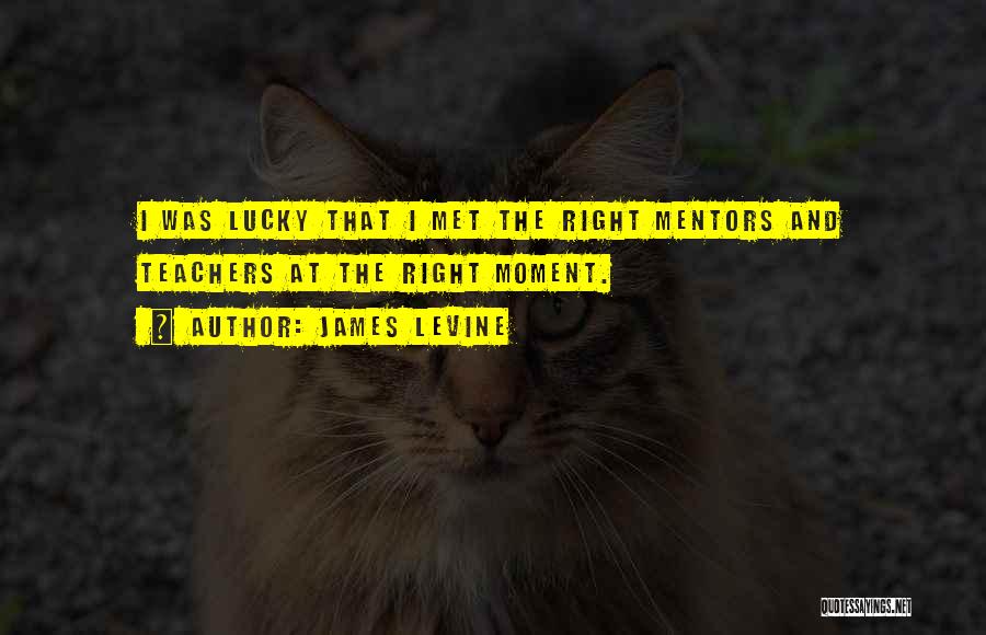 Lucky We Met Quotes By James Levine