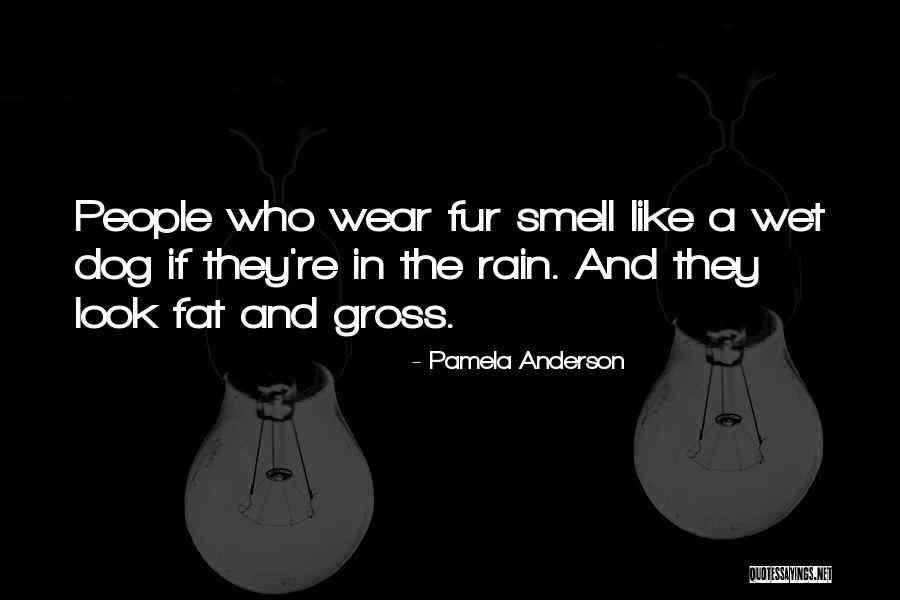 Lucozade Drink Quotes By Pamela Anderson Lucozade Drink Quotes By Pamela Anderson