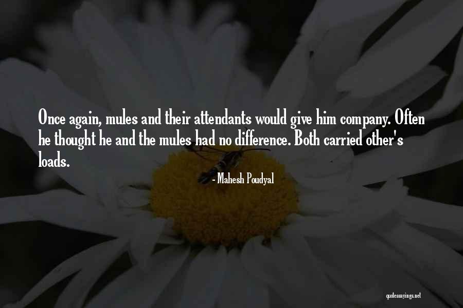 Lucy Ethel Quotes By Mahesh Poudyal Lucy Ethel Quotes By Mahesh Poudyal