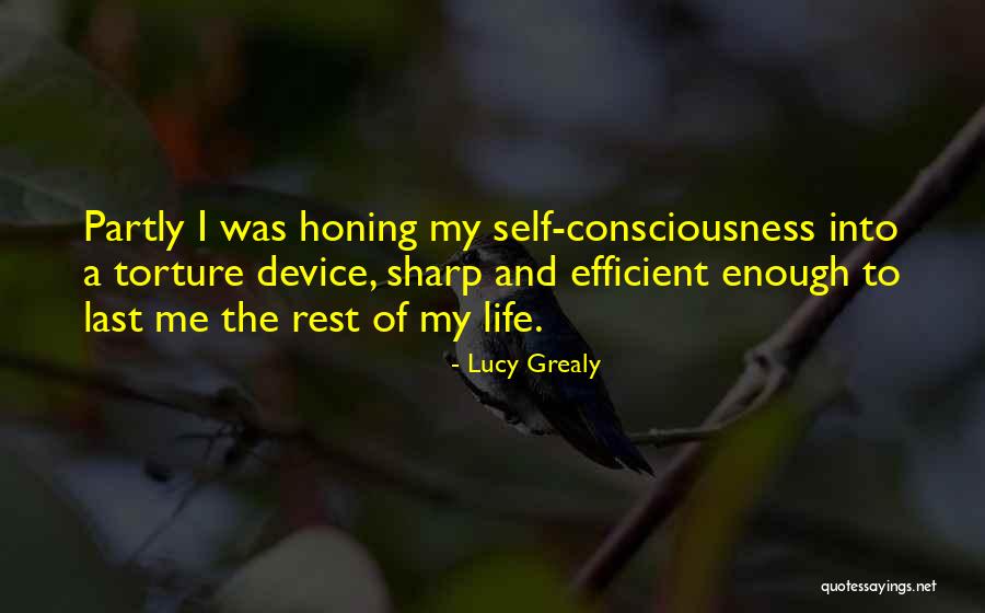 Lucy Grealy Quotes 1612609