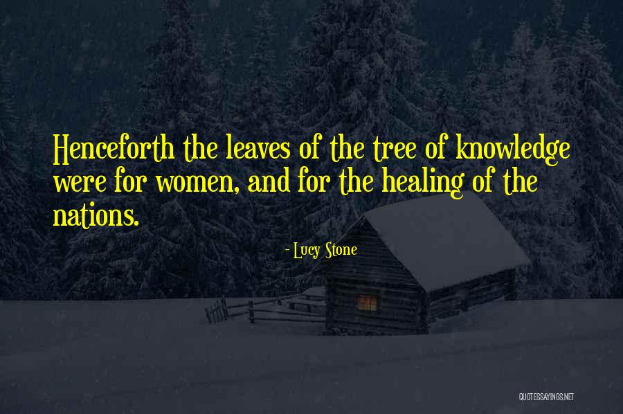 Lucy Stone Quotes 965291