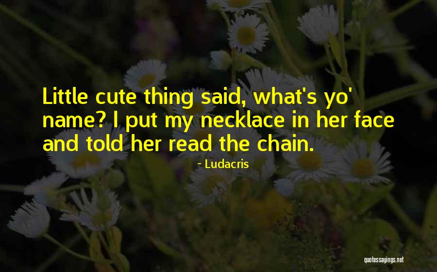 Ludacris Quotes 1365588