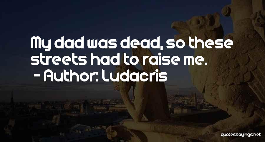 Ludacris Quotes 1629221