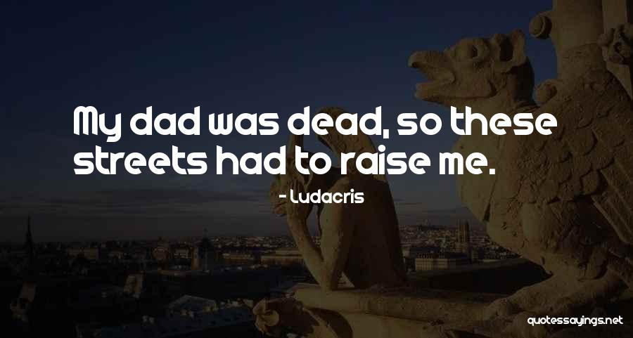 Ludacris Quotes 1629221