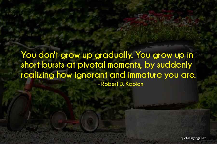 Ludanos Quotes By Robert D. Kaplan