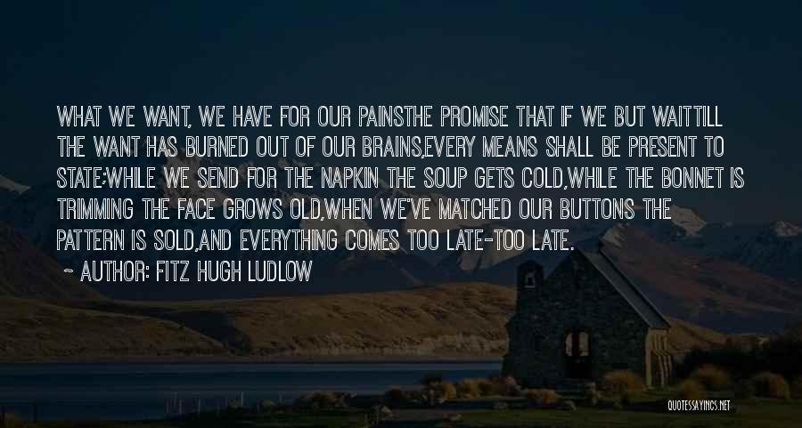Ludlow Quotes By Fitz Hugh Ludlow