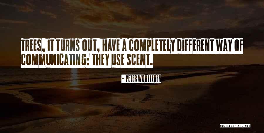 Ludlows Youtube Quotes By Peter Wohlleben Ludlows Youtube Quotes By Peter Wohlleben