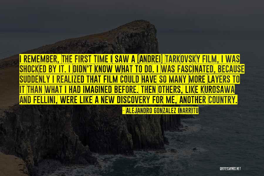 Ludovica Pagani Quotes By Alejandro Gonzalez Inarritu Ludovica Pagani Quotes By Alejandro Gonzalez Inarritu