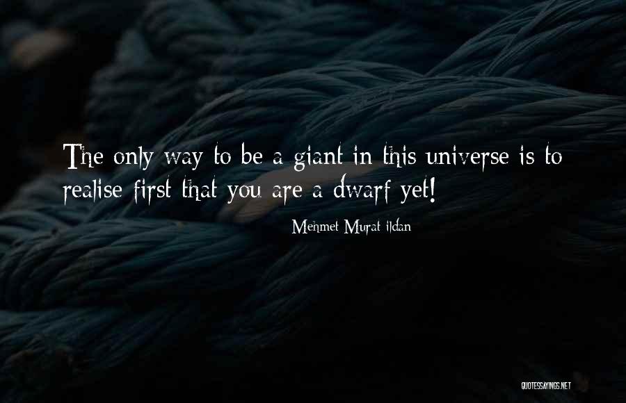 Ludovica Pagani Quotes By Mehmet Murat Ildan Ludovica Pagani Quotes By Mehmet Murat Ildan
