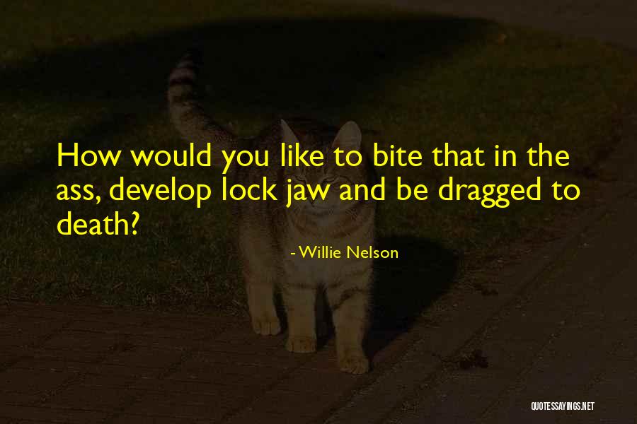 Ludoviceum Quotes By Willie Nelson Ludoviceum Quotes By Willie Nelson