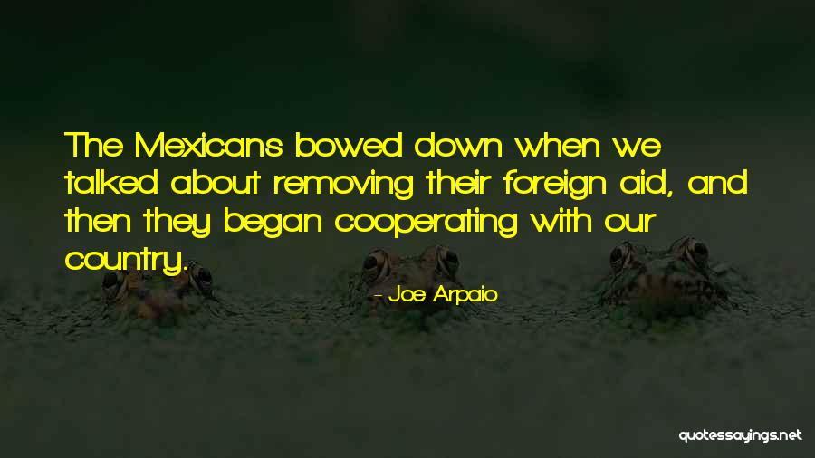 Ludovicus Van Quotes By Joe Arpaio Ludovicus Van Quotes By Joe Arpaio