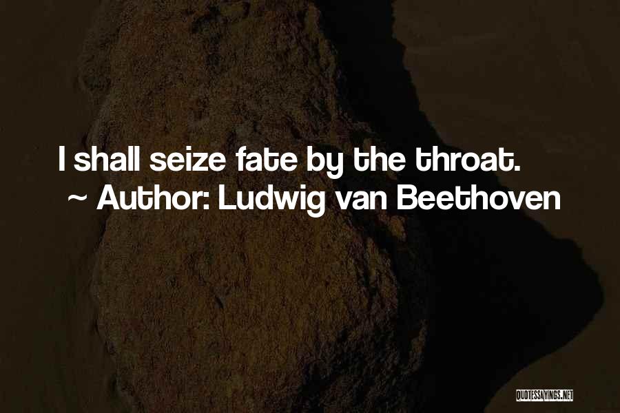 Ludwig Van Beethoven Quotes 2255154
