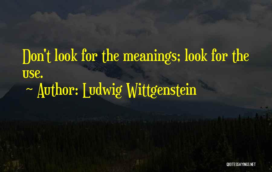 Ludwig Wittgenstein Quotes 1622024