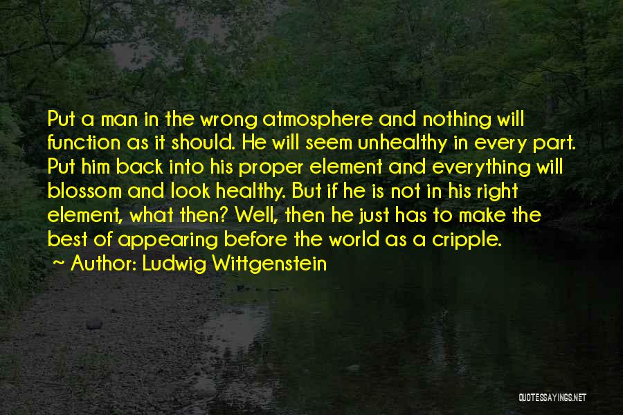 Ludwig Wittgenstein Quotes 898878