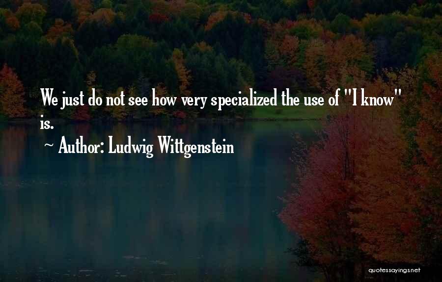 Ludwig Wittgenstein Quotes 910687