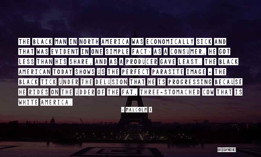 Ludwigsburger Flair Quotes By Malcolm X Ludwigsburger Flair Quotes By Malcolm X