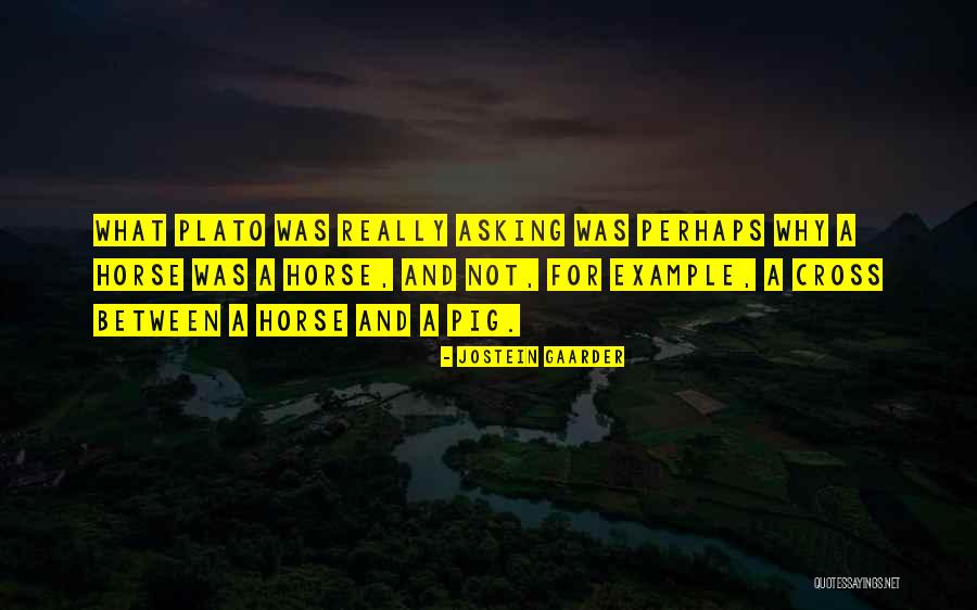 Ludwinski Colgate Quotes By Jostein Gaarder Ludwinski Colgate Quotes By Jostein Gaarder