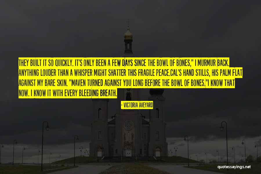 Lueg Quotes By Victoria Aveyard Lueg Quotes By Victoria Aveyard