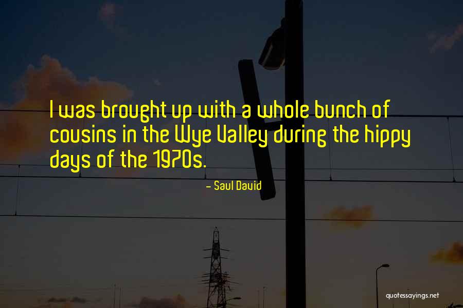 Luick Memorial Swimming Quotes By Saul David Luick Memorial Swimming Quotes By Saul David