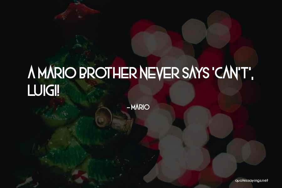 Luigi And Mario Quotes By Mario