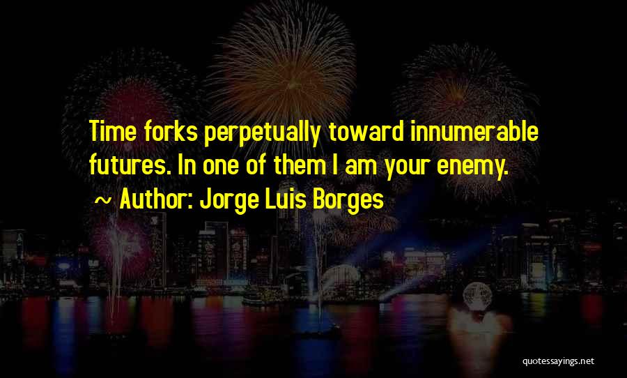 Luis Borges Quotes By Jorge Luis Borges