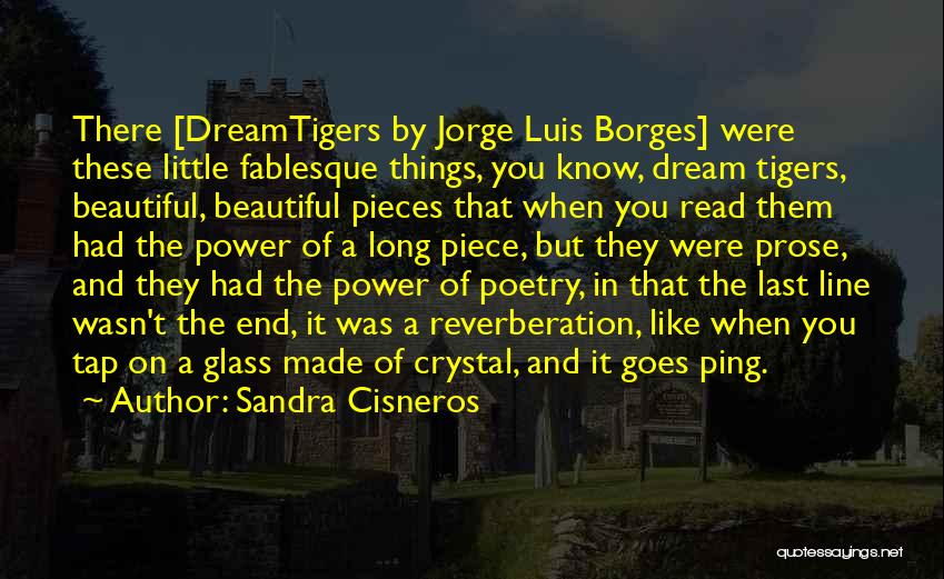 Luis Borges Quotes By Sandra Cisneros