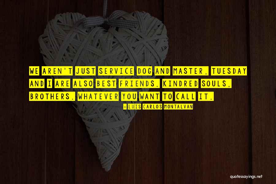 Luis Carlos Montalvan Quotes 1548233 Luis Carlos Montalvan Quotes 1548233