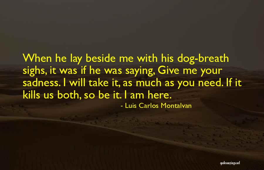 Luis Carlos Montalvan Quotes 2199103