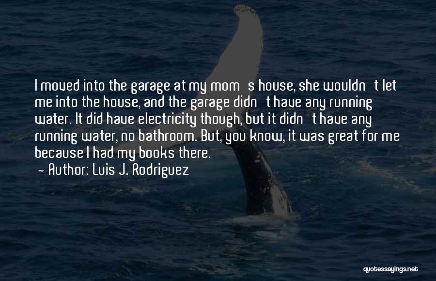 Luis J. Rodriguez Quotes 1505898