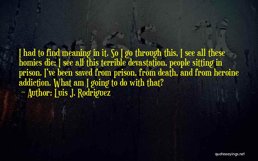 Luis J. Rodriguez Quotes 175279