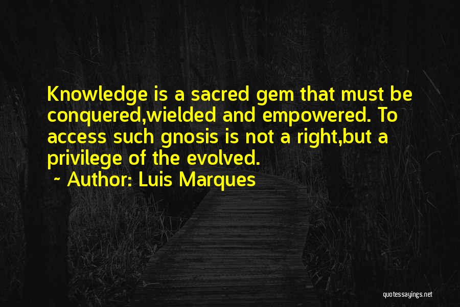 Luis Marques Quotes 1542287