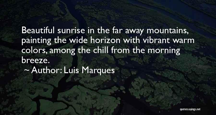 Luis Marques Quotes 1801956