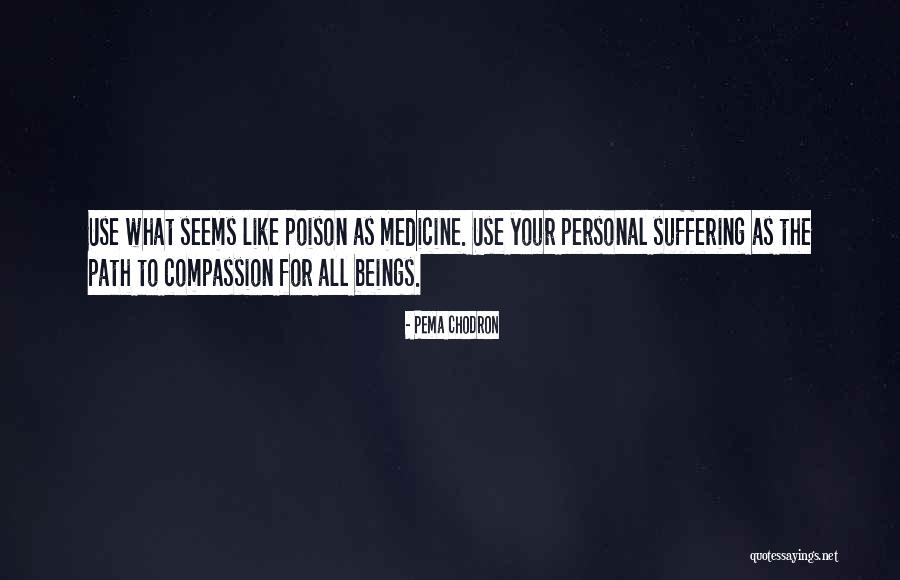 Luiseno Quotes By Pema Chodron Luiseno Quotes By Pema Chodron