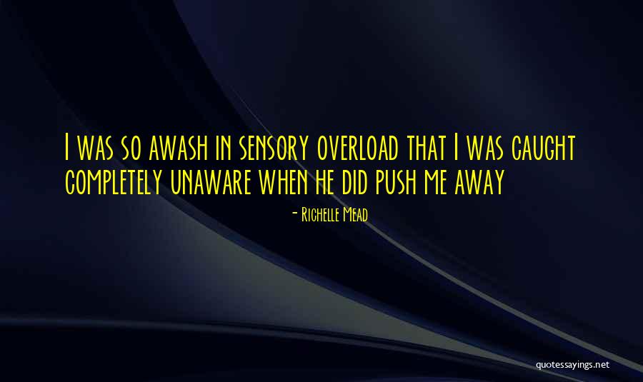 Luiteletubby Quotes By Richelle Mead Luiteletubby Quotes By Richelle Mead