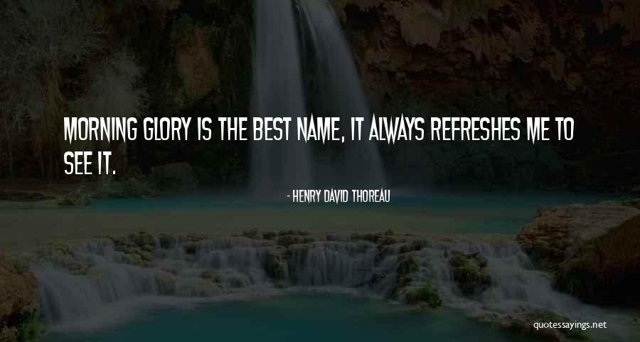 Luke Skywalker Dagobah Quotes By Henry David Thoreau Luke Skywalker Dagobah Quotes By Henry David Thoreau