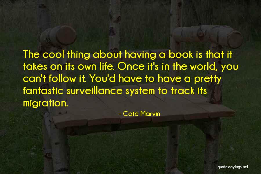 Luke Swanepoel Quotes By Cate Marvin Luke Swanepoel Quotes By Cate Marvin