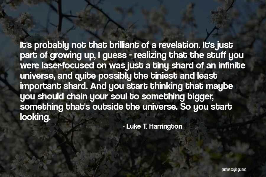 Luke's Way Of Looking Quotes By Luke T. Harrington Luke's Way Of Looking Quotes By Luke T. Harrington