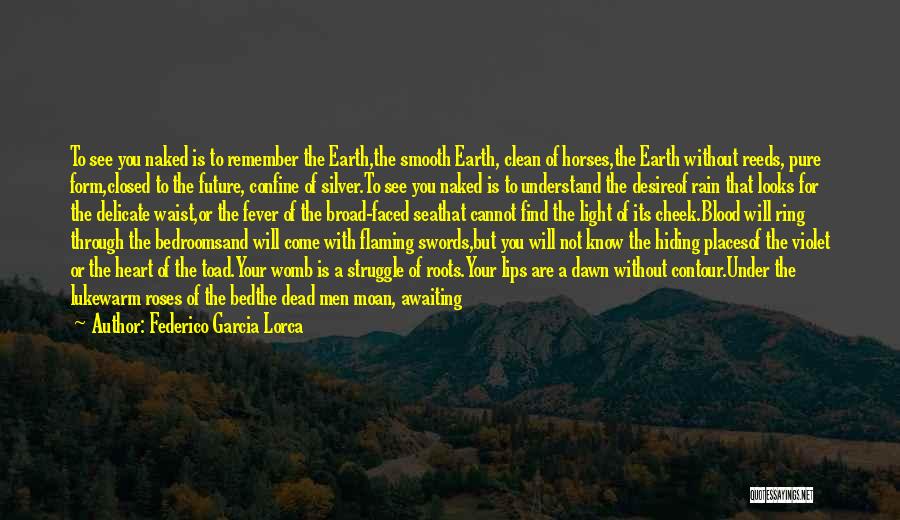 Lukewarm Quotes By Federico Garcia Lorca