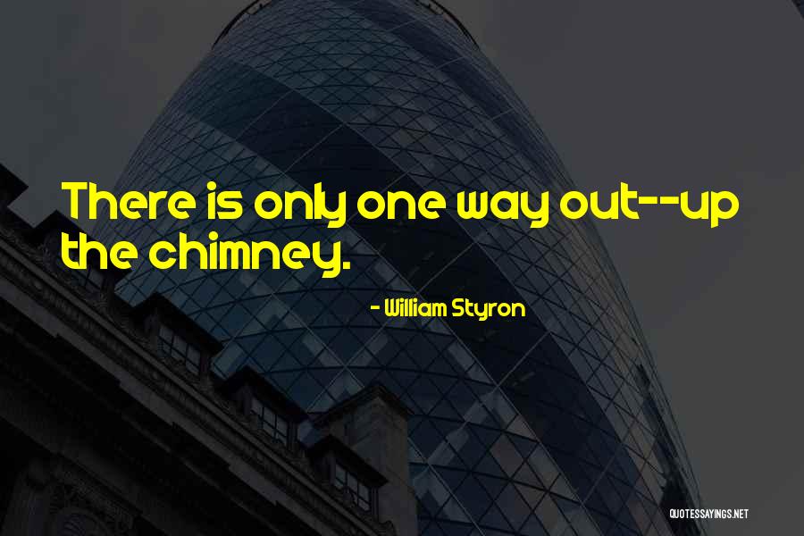 Lulu Swan Quotes By William Styron