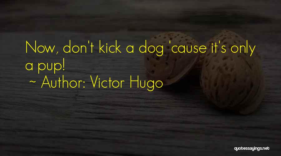 Lulzsec Hackers Quotes By Victor Hugo