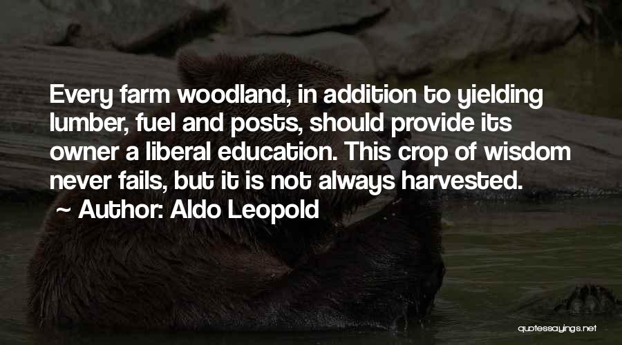 Lumber Quotes By Aldo Leopold