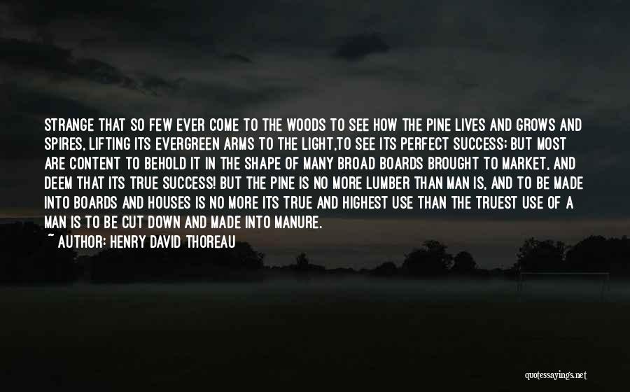 Lumber Quotes By Henry David Thoreau