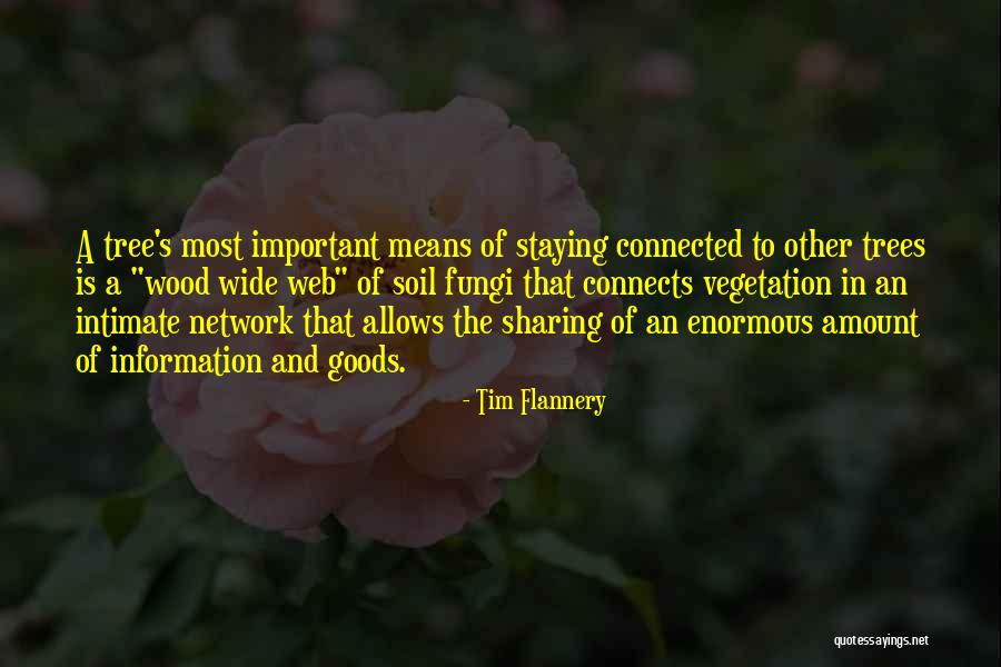 Lumbering Walk Quotes By Tim Flannery Lumbering Walk Quotes By Tim Flannery